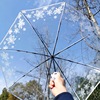 Transparent umbrella female folding is like a summer flower white goddess net red umbrella Mori creative student fully automatic transparent umbrella