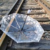 Transparent umbrella female folding is like a summer flower white goddess net red umbrella Mori creative student fully automatic transparent umbrella