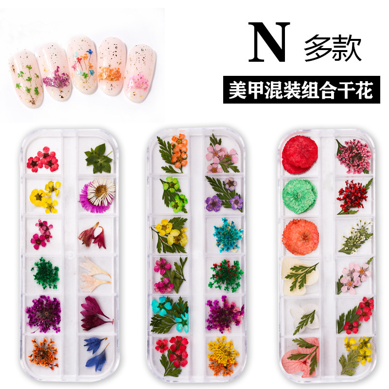 Nail Art Three-dimensional Dried Flower Suit Supplies Plant Petals Nail Jewelry 12 Color Eternal Flower Cross-border Explosions