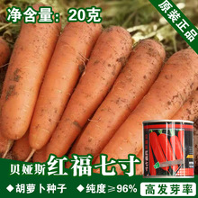 ���}���N�Ӻ��}�����߲˷N�Ӳ������l�˷N���ѷN�ӹ�˾