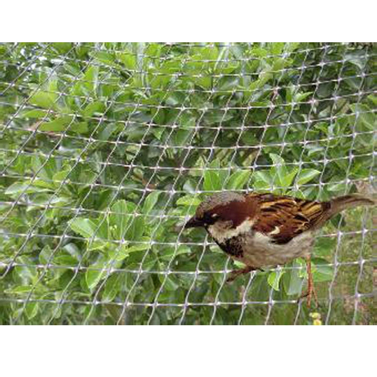 Производители поставляют большое количество анти-птица сетки, анти-птица сетки оптом, анти-птица сетки цена прямых продаж