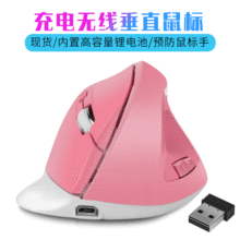 늟oֱRechargeable Vertical  Wireless Mouse