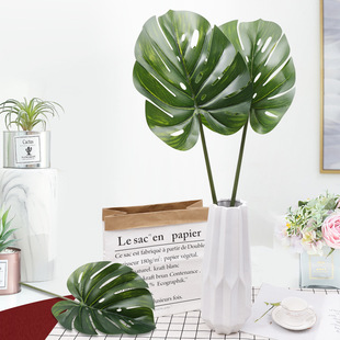 �W���Ʊ��W�����ָ������~ ��Ƭ�z���~�ӾGֲ �b����������~
