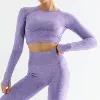 Purple long-sleeve