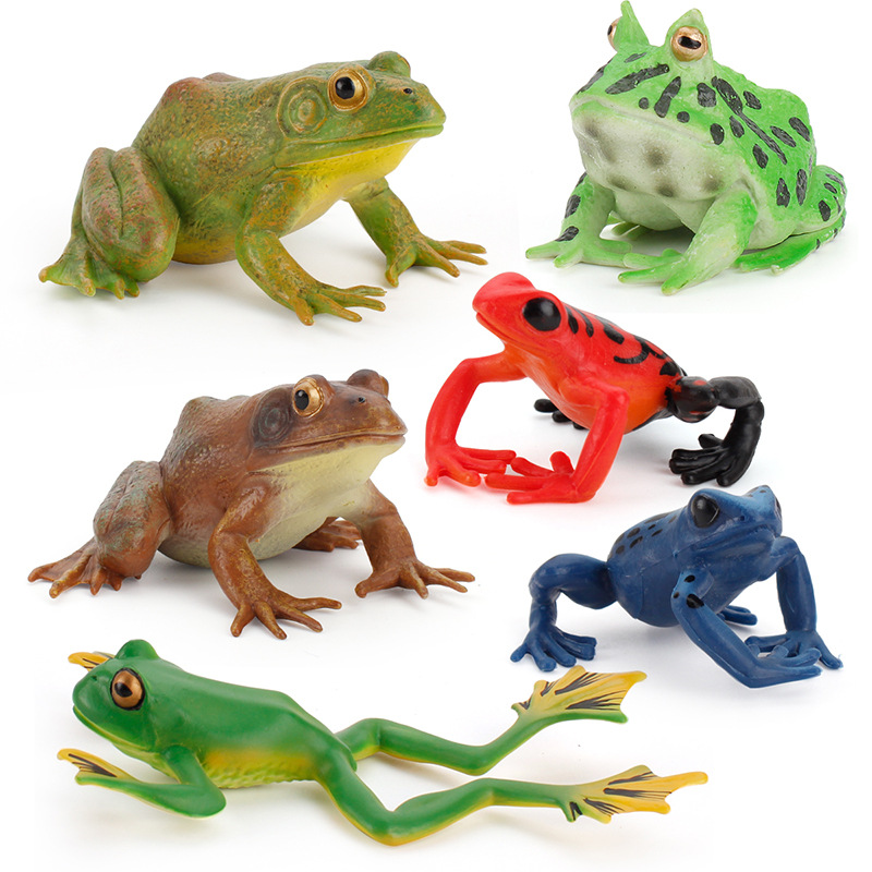 Educación temprana cognitiva para niños simulación anfibio creativo mini traje de rana rana americana rana toro juguete de decoración de rana arborícola