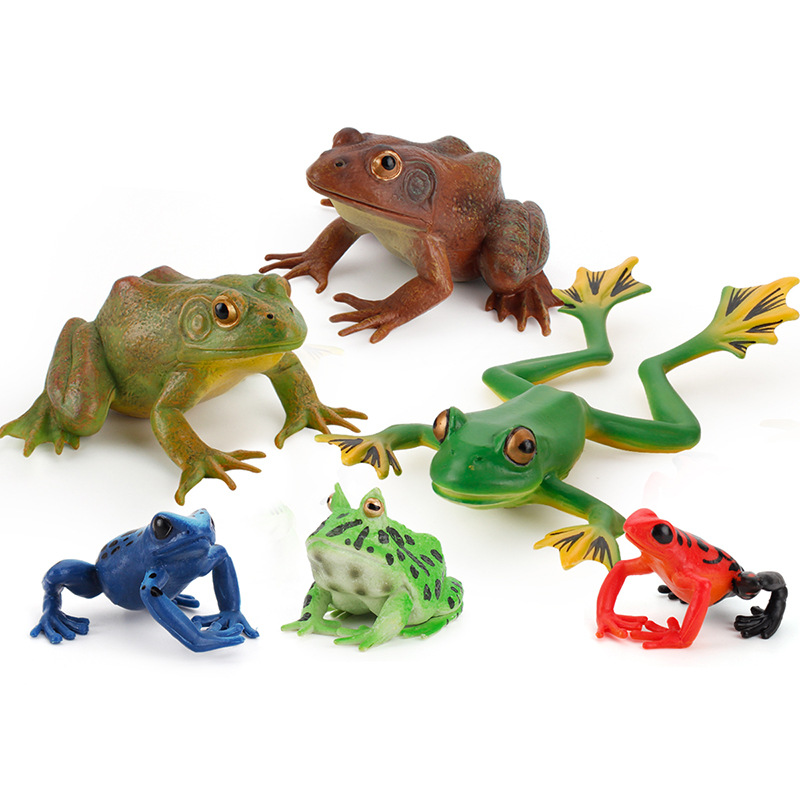 Educación temprana cognitiva para niños simulación anfibio creativo mini traje de rana rana americana rana toro juguete de decoración de rana arborícola