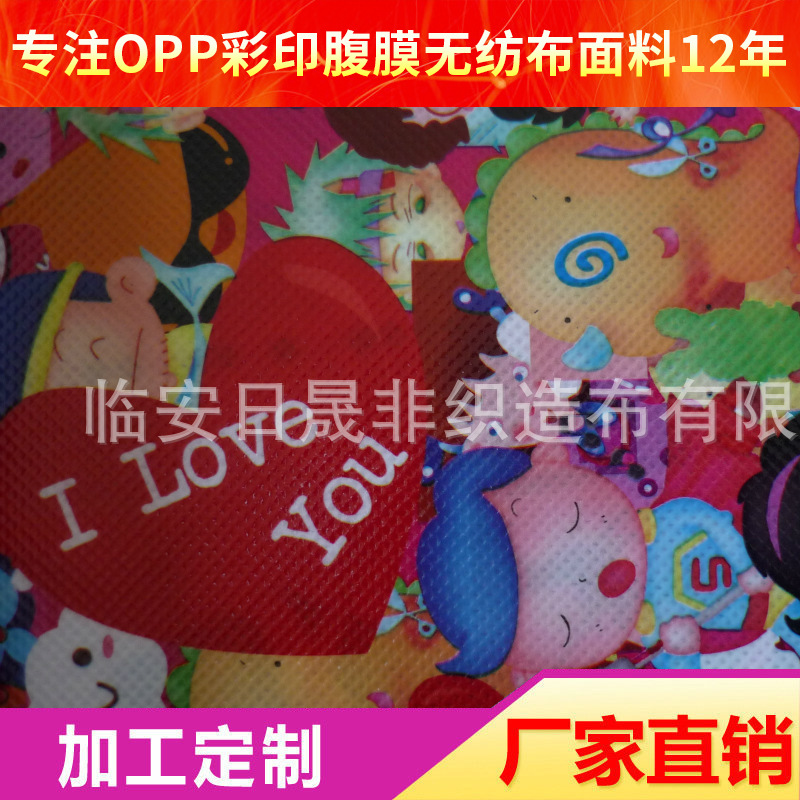 供应OPP彩印膜复合无纺布淋膜