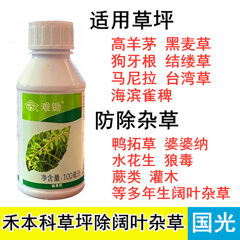 国光难锄 马尼拉黑麦草禾本科草坪除蒲公英地锦恶性阔叶杂草