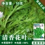 四季播种茼蒿蔬菜菜种