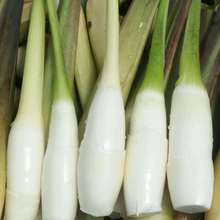 ������r�����r���ԷN�r�����ϸ߹Sˮ�S����ˮ�a�߲����l