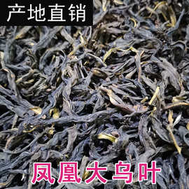 乌龙茶春凤凰单丛茶凤凰单枞茶兰花香茶虎高山大乌叶黄枝香自产批