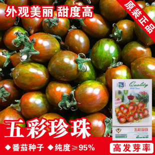 С���ѷN�ӷ��������t���N���}Ů���N������ˮ���N�ӹϹ��߲˷N��