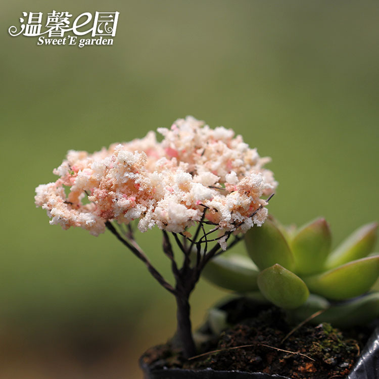 微景观仿真圣诞树 仿真花樱花多肉Zakka苔藓造景装饰品配饰小摆件