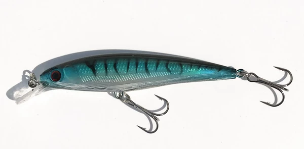 Blue Back Black Forest 7#