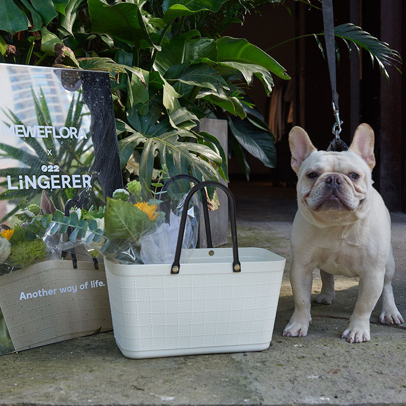 Factory spot wholesale Japanese plastic hand basket picnic fruit and vegetable basket anti-rattan debris storage basket bath basket Factory spot wholesale Japanese plastic hand basket picnic fruit and vegetable basket anti-rattan debris storage basket bath basket