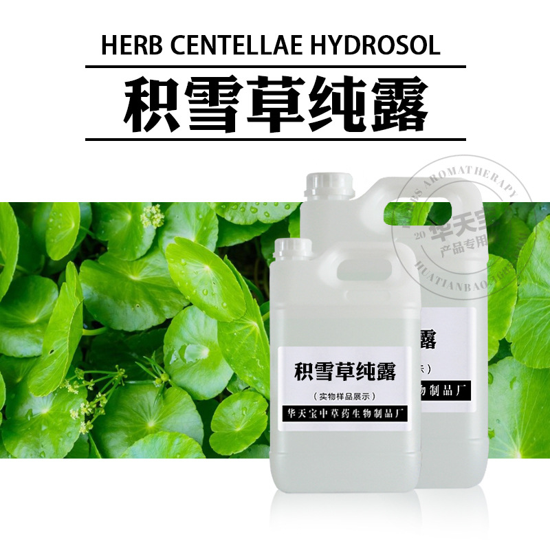 积雪草纯露1000ML 积雪草蒸馏原液 雷公根纯露 提取液原料批发