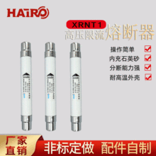 �F؛�߉������߷ֶ������۔���XRNT-10KV��ȸ߉�������ʽ�۔��