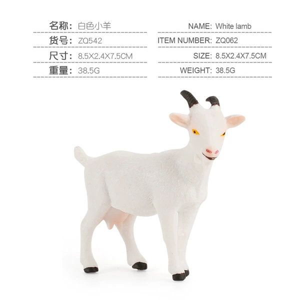 Zq542 white lamb 38.5g