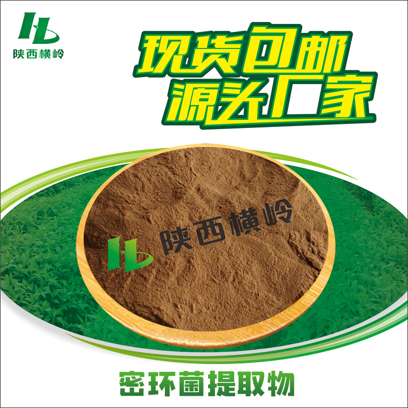 蜜环菌提取物 50:1高比例蜜环菌粉 含蜜环菌多糖 1KG起订 水溶性