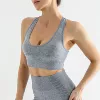 Gray (vest)