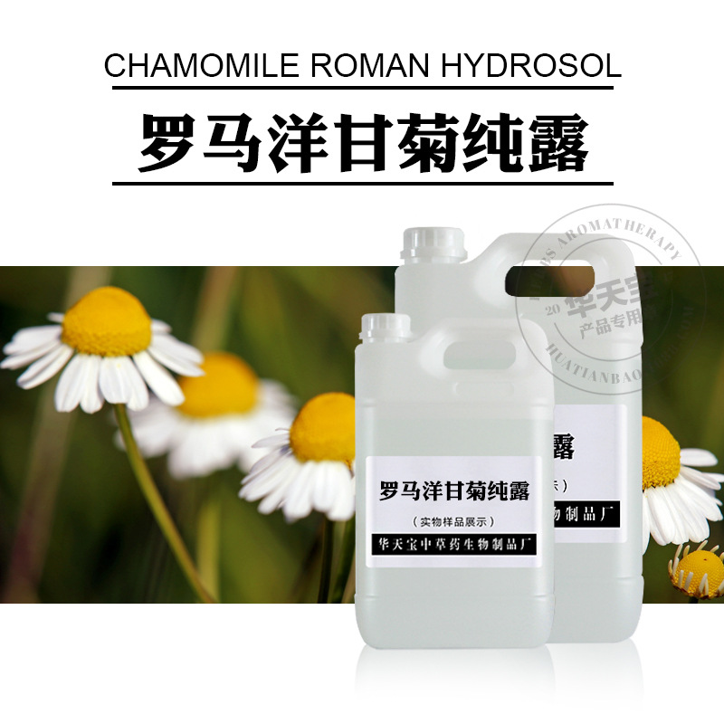 洋甘菊纯露 1000ML 罗马洋甘菊蒸馏原液 饱和纯露原料加工批发厂