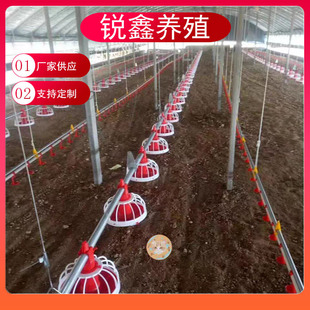 �u���Ͼ��B�uˮ��ȫ�Ԅ�ιˮι���u��ȫ��ƽ�BͶ���O���ϱP�g�P