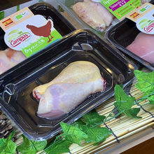 �N�wĤ evoh����N�wĤʮһ�ӹ��D�N�w���bĤ ���b�C�����N�wĤ