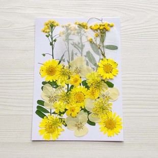 Ѻ��diy�ɻ��������ϰ����z�֙C�� ֲ��˱������NĘ�yֲ��˱�