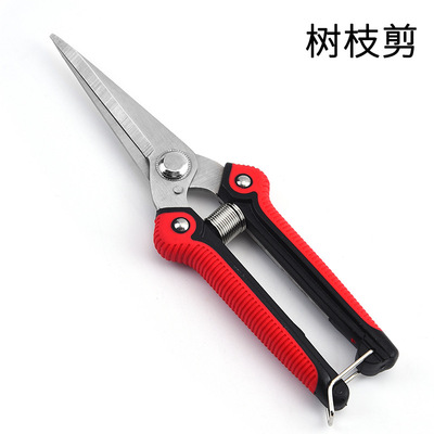 不锈钢尖头果园摘果剪 采摘水果葡萄稀果剪刀 修枝果枝树枝剪