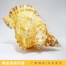 ؐ����ˇƷ�YƷ���ݴ�ؐ��������� ���^���μo��Ʒ ���u���l�N��