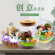 苔藓微景观 七彩带灯玻璃瓶 地球仪景观 八音盒创意礼品生日礼物