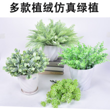 �S��ֱ�N ����ֲ�����ϻ� ֲ�qˮ�ݻ�c��ˇ�G�~  ����ֲ����