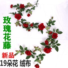 ���滨õ����������Ҿ�װ�λ��޲����ϼٻ��ٸߵ����滨��ֲ�ڵ�