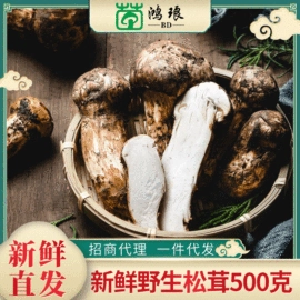 其他干货;牛肝菌;姬松茸