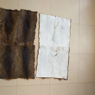 factory wholesale Sea mink leather and fur blanket leather and fur Fur one Fur clothing Internal bile keep warm raw material Nutria