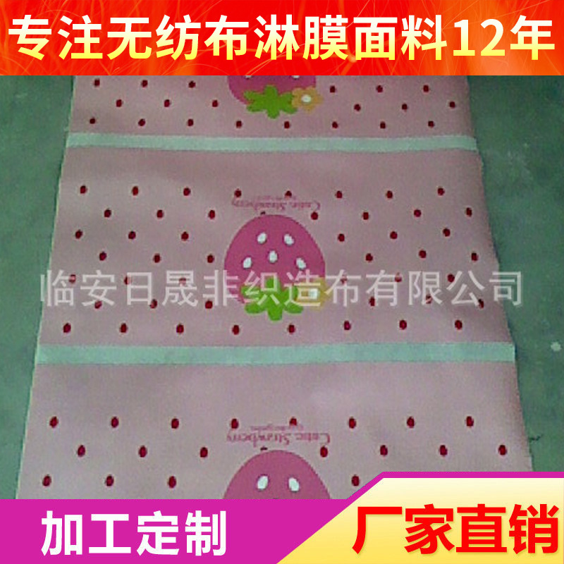 供应淋膜无纺布 无纺布防水卷材