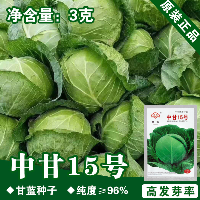 甘蓝种子甘蓝籽包菜种子椰菜种子菜种子批发瓜果蔬菜种子批发