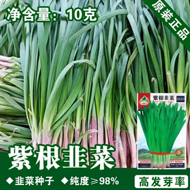 蔬菜种子;其他农业