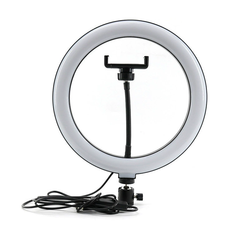 LED fill light, 10 inch, 12 inch
