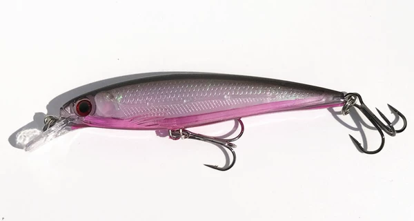 Black Back 3#