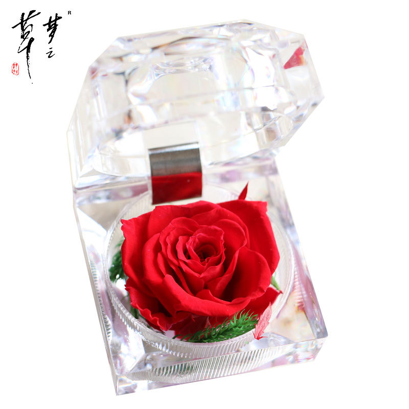 Cristal Rosa acrílico flor eterna caja de regalo confesión flor real regalo del Día de San Valentín Amazon