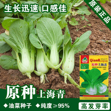 Ͳ˷NͲСײ˷Nuë˷N๣˷N߲˷Nl˷N