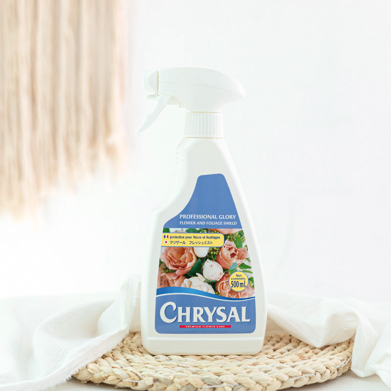 Flor fresca holandesa ramo preservativo flor extensor agua agente de bloqueo tienda de flores solución de nutrientes