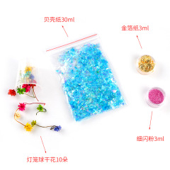 Manufacturer Direct Supply Sea Shell Dried Flower Material Kit DIY Mirror Clear Resin Droplet Mold Accessory Shell Paper Set