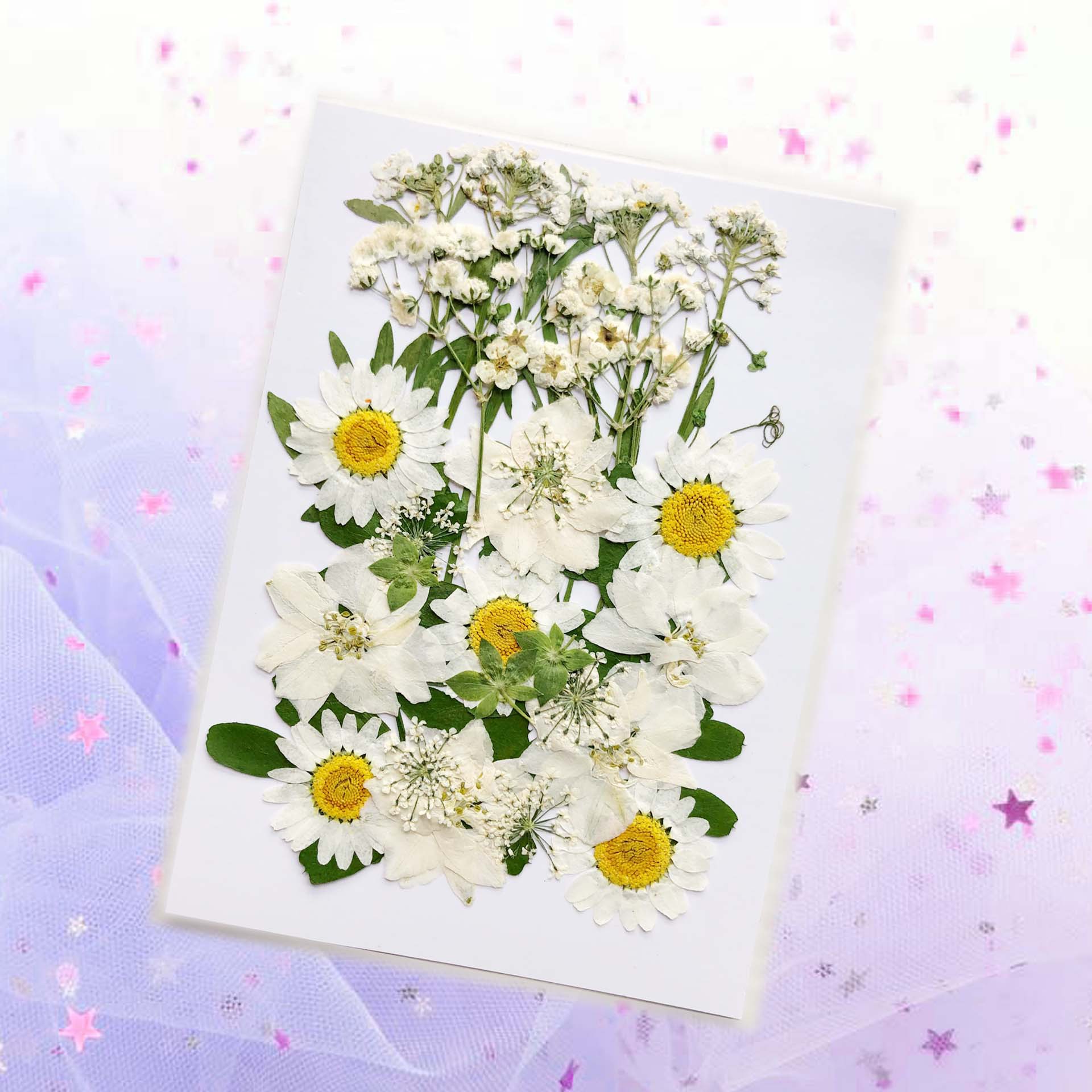 En relieve DIY flor seca paquete de material en relieve epoxi cáscara del teléfono móvil planta espécimen foto pegatina cara planta de maquillaje espécimen