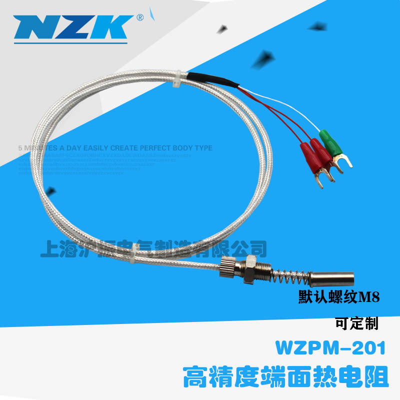 端面铂电阻PT100电站厂变电所变压器电机马达轴承测温温度传感器