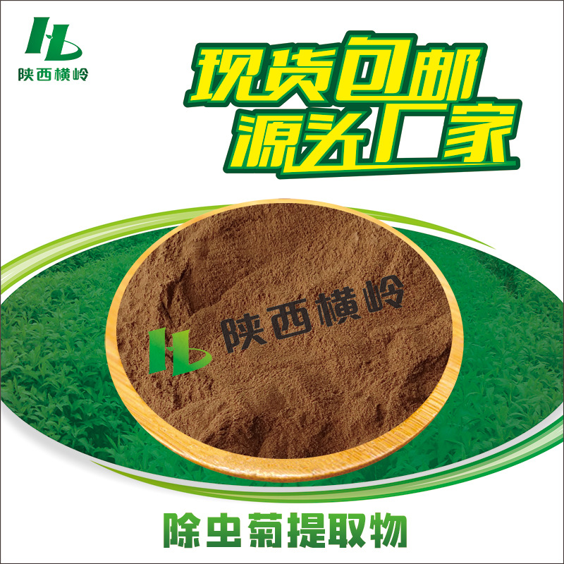 除虫菊提取物 30:1 50:1高比例除虫菊粉 含除虫菊酯 1KG起订 包邮