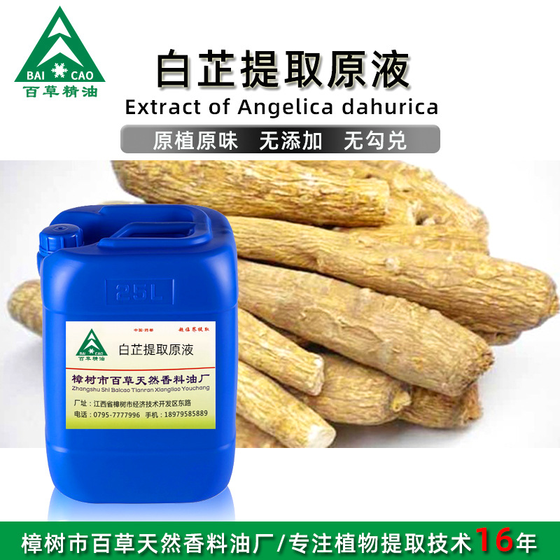 白芷提取液 浓缩液 浸膏 植物萃取原液 化妆品原液OEM加工