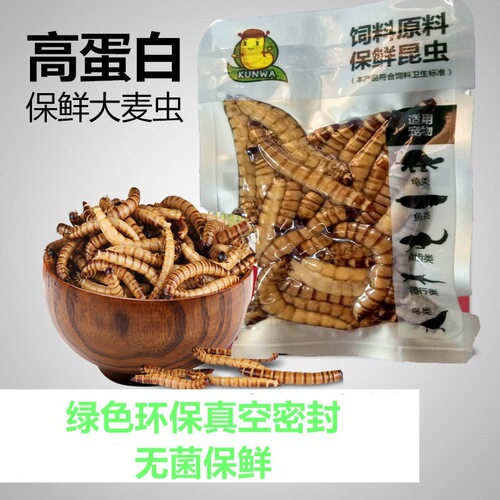 Ornamental fish nutritional insects, scorpion feed, barley worms, mealworms, centipedes, crickets, cockroaches, fish, birds and turtles pet feed