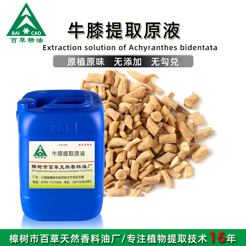 厂家批发 牛膝提取液 萃取原液 植物提取液 原植原味 按摩液